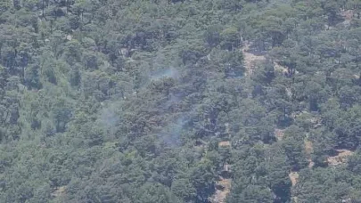 Antalya’daki orman yangını kontrol altına alındı