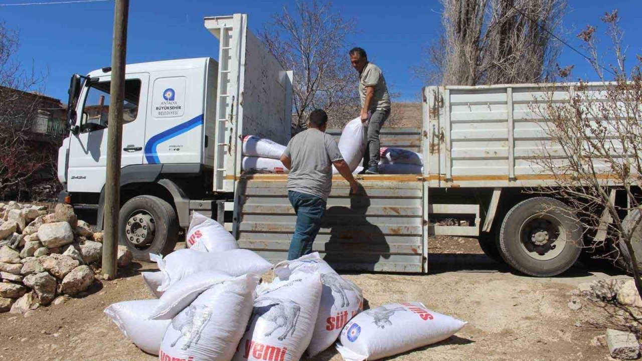 Büyükşehir’den yem desteğiyle süt üretimine güçlü katkı