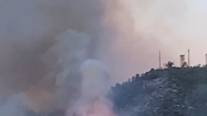 Gazipaşa’daki orman yangınında gözetleme kulesindeki personelin zor anları