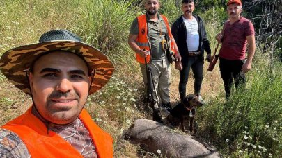 Antalya Gündoğmuş’ta domuz sürek avı düzenlendi