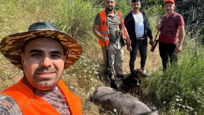 Gündoğmuş’ta domuz sürek avı düzenlendi