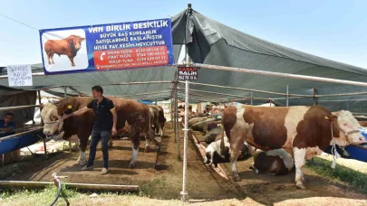 Kepez’de 9 noktada kurban kesim alanı