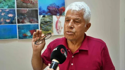 Köpek balıklarına yapılan "gösteri işkencesine" uzman uyarısı: "Ekosistemi bozuyor, korku yayıyor "