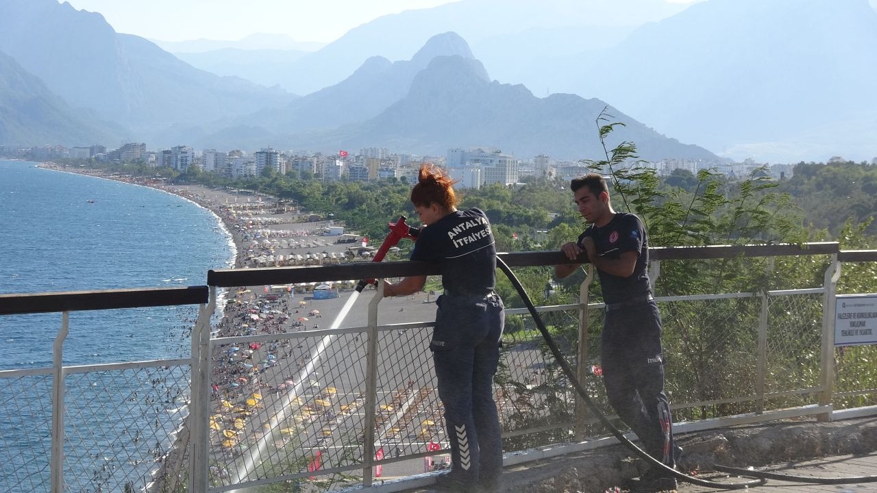 Varyanttaki otluk alanda çıkan yangın korkuttu