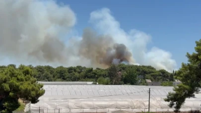 Antalya'da orman yangını