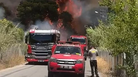 Antalya'da orman yangını