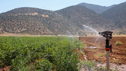 Beğiş'te tarım, arıtma suyuyla yeşerdi