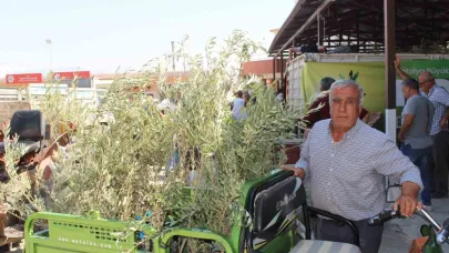 Büyükşehir’den 19 ilçeye 40 bin zeytin fidanı desteği