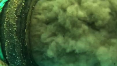 Antalya'da denize deşarj edilen suyun kirliliğe neden olduğu iddiasına inceleme