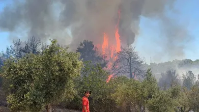 Yangın sadece ormanı değil, sağlığı da yakıyor