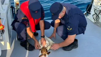 Denizde çuvala dolanmış halde bulunan yeşil deniz kaplumbağası kurtarıldı