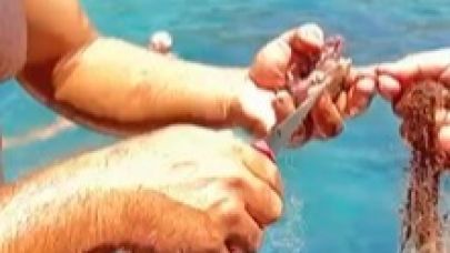 Alanya’da ağa takılan yengeçler kurtarıldı