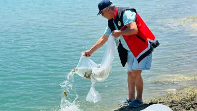 Korkuteli’nde 60 bin sazan balığı doğaya bırakıldı