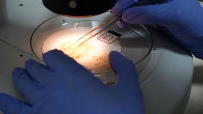 Mikroplastik tehlikesi gözle görülmüyor, hayatı tehdit ediyor