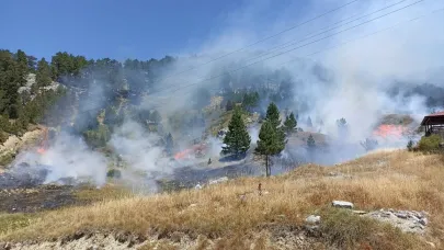 Antalya'da 4 orman yangın kontrol altında, 2'sine müdahale sürüyor