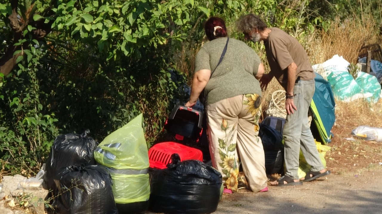 Boşaltılan evde hasta 5 kedi daha kurtarıldı