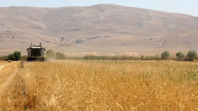 Korkuteli Yeşiloba Yaylası'nda buğday hasadı