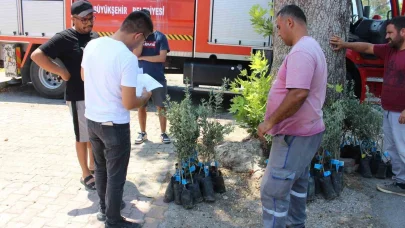 Antalya Büyükşehir Belediyesi’nden zeytin seferberliği