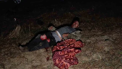 Antalya’da aslanın kaçtığı hayvanat bahçesinin denetimi sürüyor