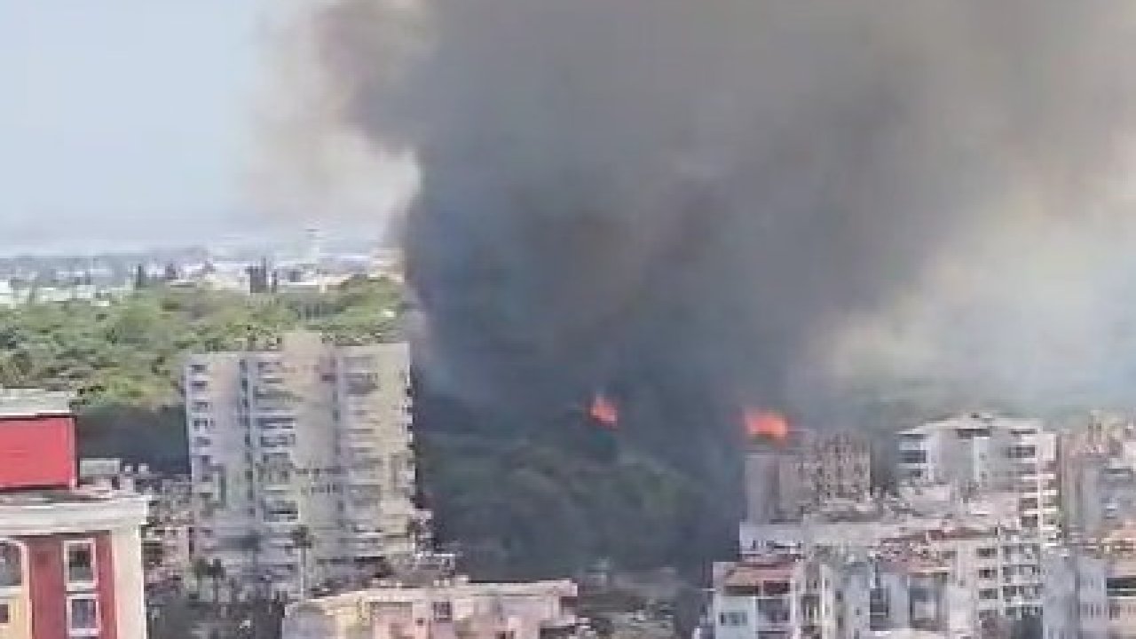 Antalya’da bir orman yangını daha