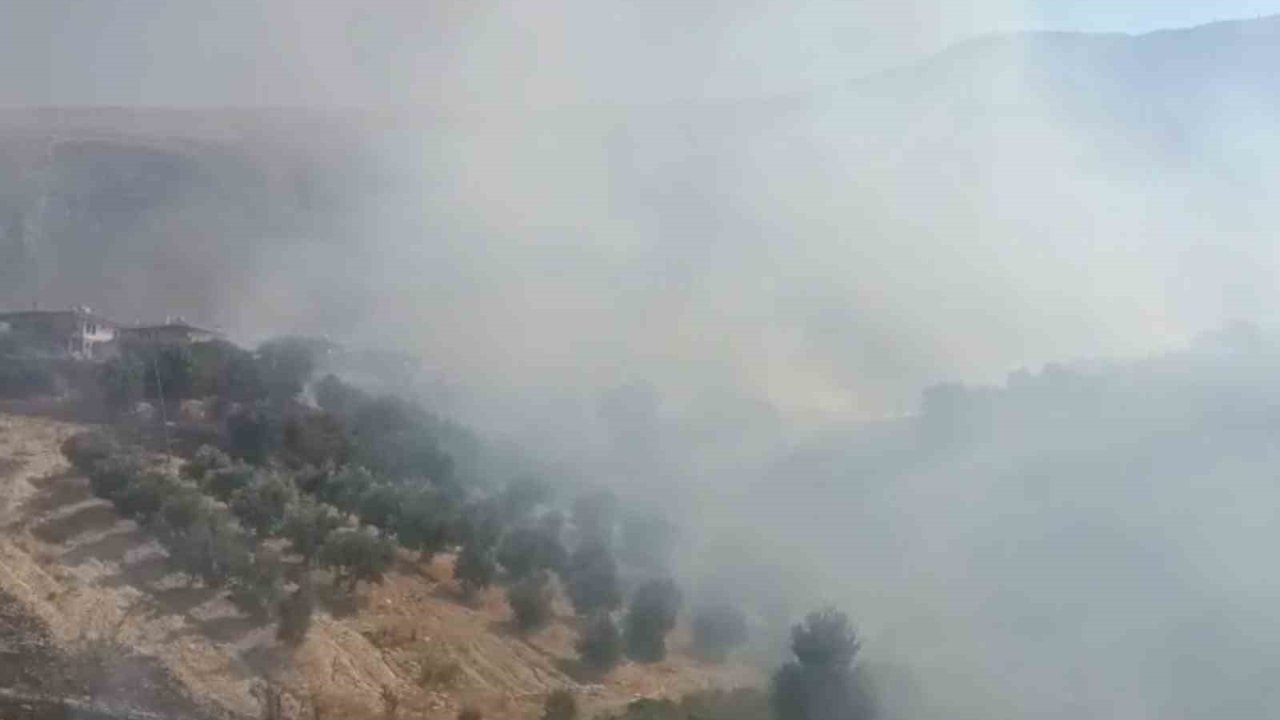 Antalya’da evlere yakın bölgede yangın