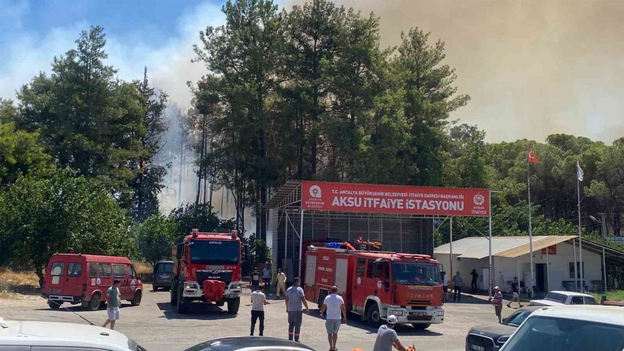 Antalya’da ormanlık alanda yangın paniği