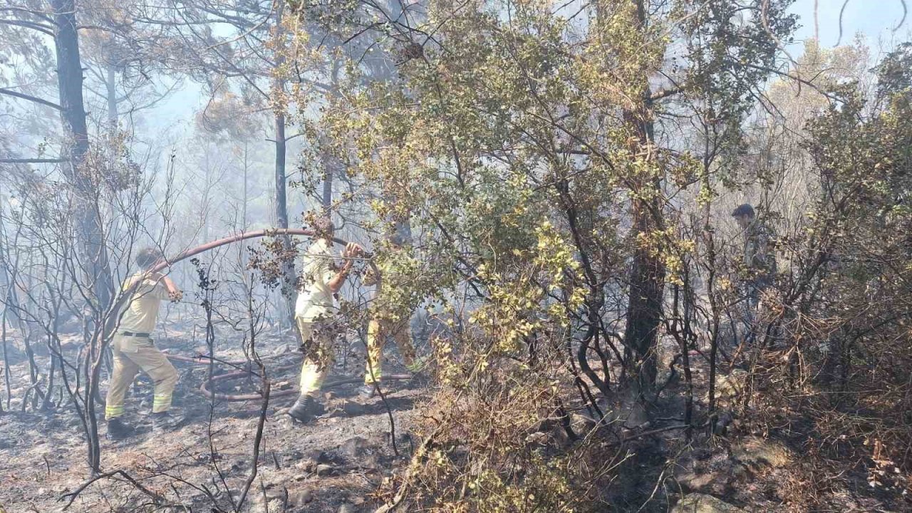Antalya’daki orman yangınında 2,8 hektarlık alan zarar gördü