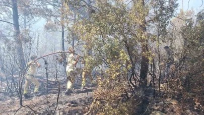 Antalya’daki orman yangınında 2,8 hektarlık alan zarar gördü