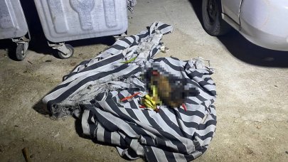 Çöp konteynerindeki yangın sonrası köpeğin telef olduğu ortaya çıktı