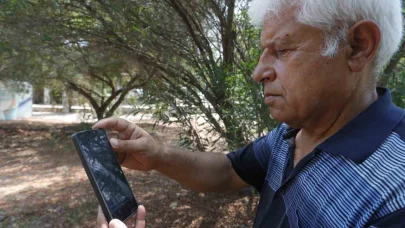 Kemer sahilinde asılsız dev köpekbalığı paylaşımına suç duyurusu