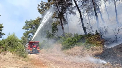Manavgat’ta ormanlık alan yangınında 3 hektar alan zarar gördü