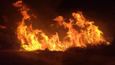 Manavgat’taki yangında 8 dönümlük tarım arazisi zarar gördü