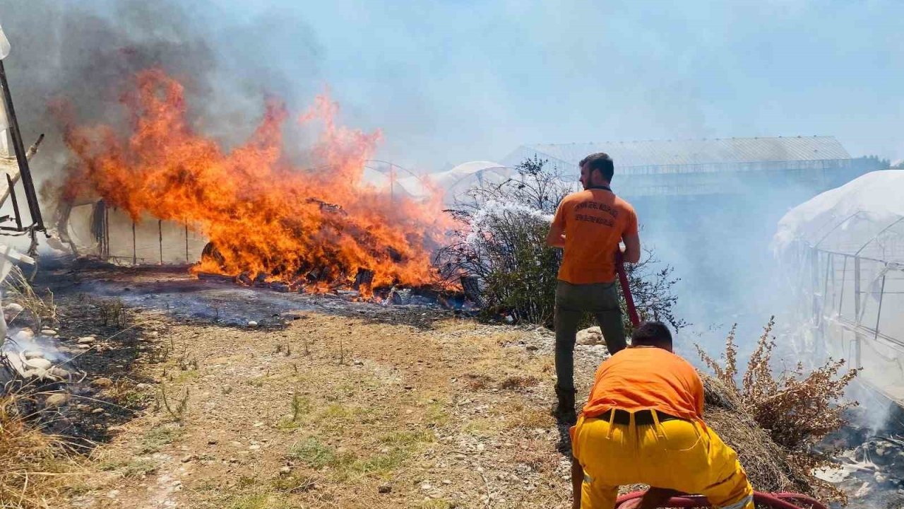 Serik’te çalılıklarda başlayan yangın 2 seraya zarar verdi