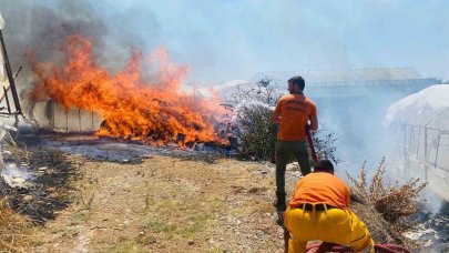 Serik’te çalılıklarda başlayan yangın 2 seraya zarar verdi