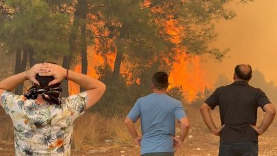 6 aydaki 118 orman yangınında, 540.2 hektar alan zarar gördü