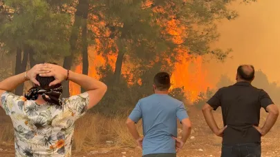 6 aydaki 118 orman yangınında, 540.2 hektar alan zarar gördü