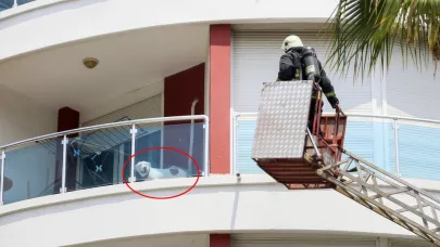 Yangında balkonda mahsur kalan köpeği itfaiye kurtardı