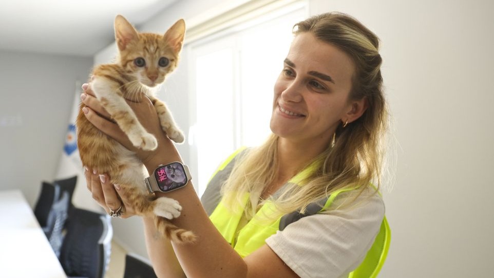 Boğaçayı'na düşen düşen yavru kedi kurtarıldı