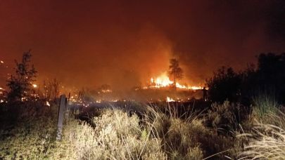 Orman yangını 5 saatte kontrol altına alındı