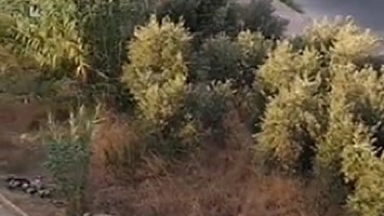 Alanya’da drift yapan sürücülere 166 bin TL ceza