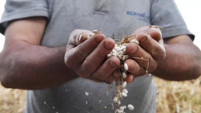 Çandır fasulyesi için coğrafi işaret başvurusu yapıldı