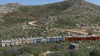 Gazipaşa’da 36 arı kovanı çalındı