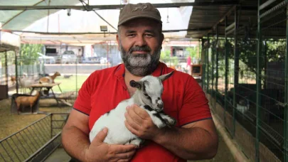 Kafasındaki poşetle sürüye kabusu yaşatan keçinin sahibi: "Poşetin içinde küçük bir delik açmış oradan nefes alabiliyordu"