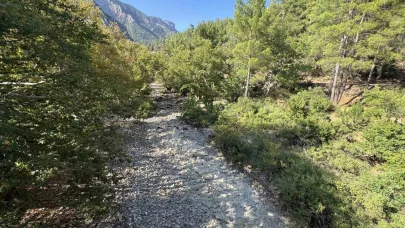 Üzümdere Irmağı kuraklığa yenik düştü, eski halinden eser kalmadı