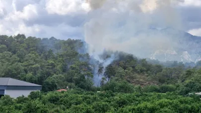 Antalya'da orman yangını