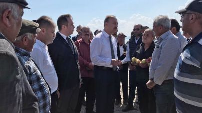 Elmada dolu zararı