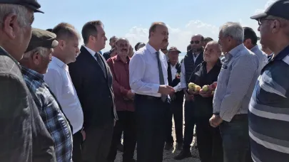 Elmada dolu zararı