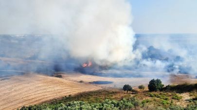 Zeytinlikteki yangın büyümeden söndürüldü
