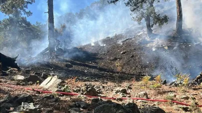 Muğla'da orman yangını