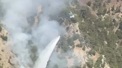 Muğla'da orman yangını